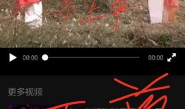 天涯爆料鹿鸣视频大全,鹿鸣视频大全背后的秘密与精彩瞬间